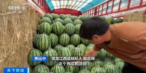荆州吃瓜视频,揭秘当地美食文化盛宴