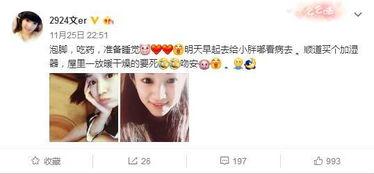 各大主播吃瓜小胖视频,揭秘各大主播与吃瓜小胖的瓜界风云