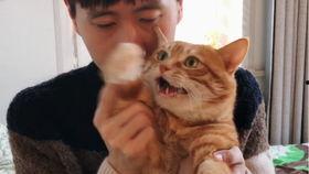 翠花皮卡邱视频吃瓜,揭秘娱乐圈幕后真相