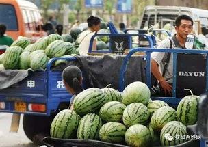 介休晋中三院吃瓜视频,一场网络热议的真相追踪