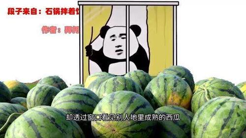 和二表哥吃瓜的视频,趣味横生幕后花絮大公开