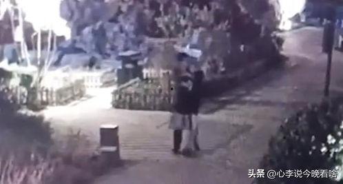 邳州吃瓜事件真相视频完整版,揭秘真相背后的惊人内幕