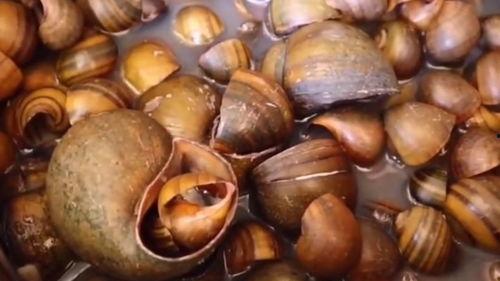 泰国铃铛大叔吃瓜视频,揭秘泰国街头美食文化