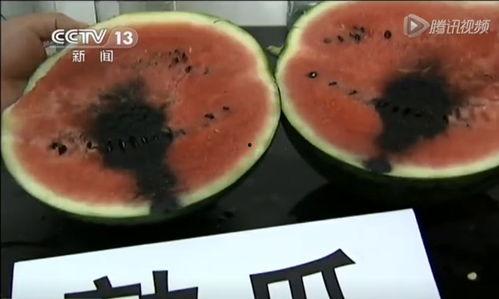 年初十吃瓜视频