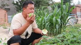 老张吃瓜最新视频