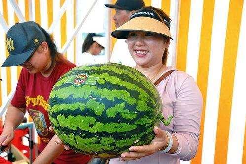 欢乐吃瓜视频,揭秘娱乐圈幕后故事，带你领略明星们的真实生活