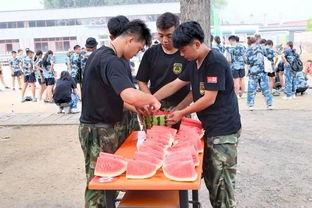 宁河吃瓜群众事件真相视频,揭秘真相背后的真相